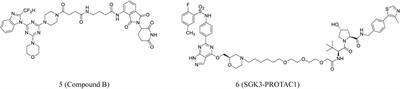 Targeting Protein Kinases Degradation by PROTACs